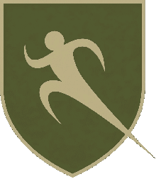 AA Orthopedics gold shield logo